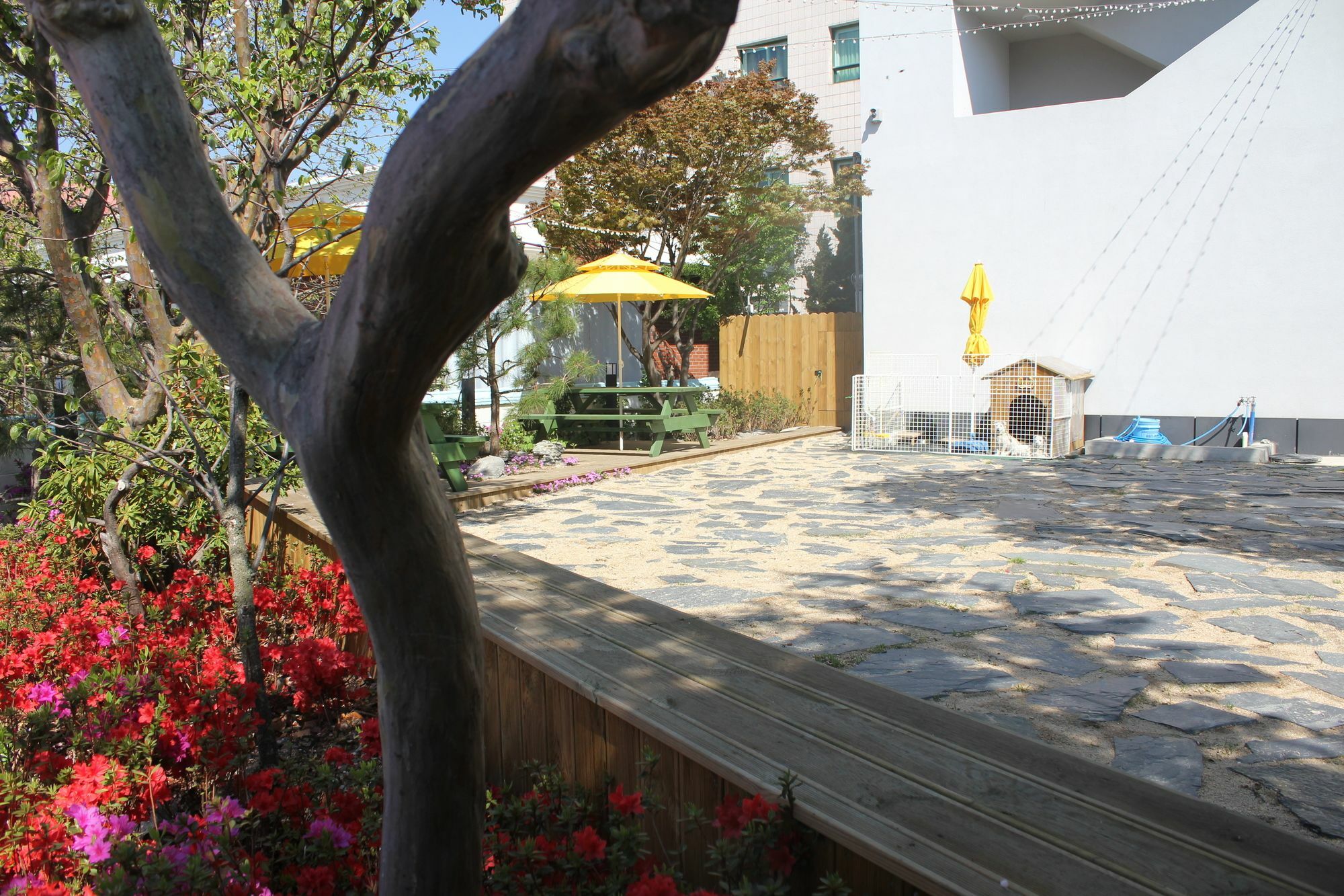 With U Hotel & Guesthouse Sokcho Exterior foto